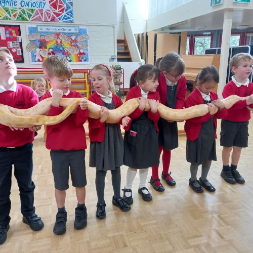 Year 1 Reptile Visit